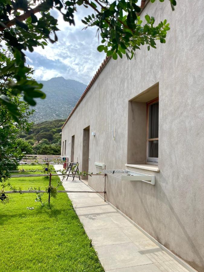 Alelca Domo Bed & Breakfast Buggerru Exterior photo